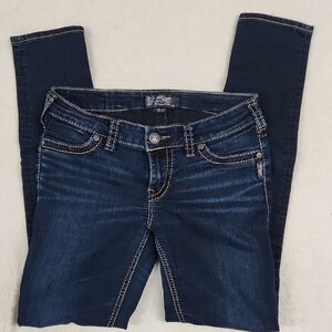 Silver Jeans Blue Skinny Jeans with Structured Waistband